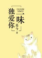 小说独爱你一味