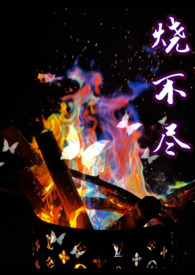 烧不尽回南雀在线阅读